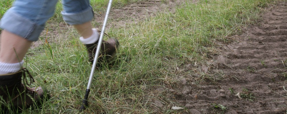 Header omgeving Actief 2 Header omgeving Actief 2