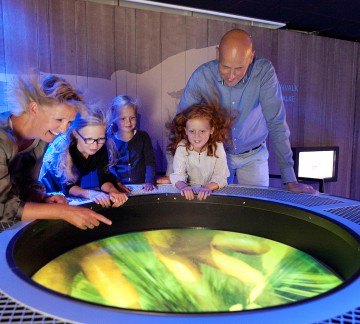 Natura Docet Wonderryck Twente - De vlucht van de Torenvalk - fotografie Arie Kwast.jpg