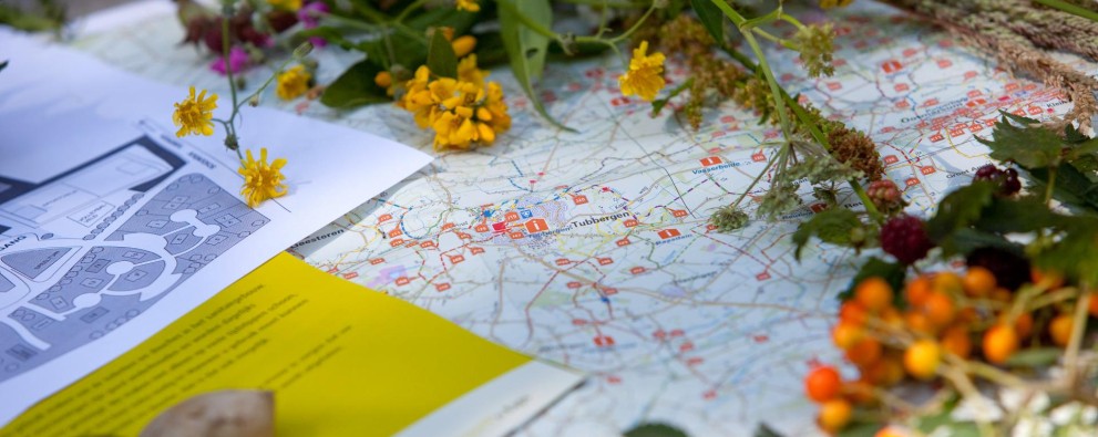 IMG_0559.jpg IMG_0559.jpg