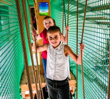 Drentse koe Klimmen boven koeien 4.JPG