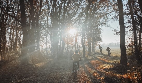 mountainbiken - hardlopen - bos - Twente.jpg