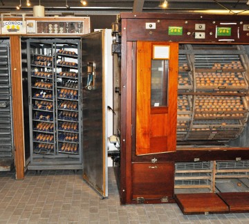 Pluimveemuseum - Broedmachines - Econoom.jpg