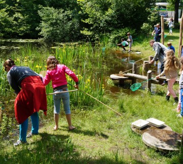 waterdieren practicum Natura Docet Wonderryck Twente.jpg