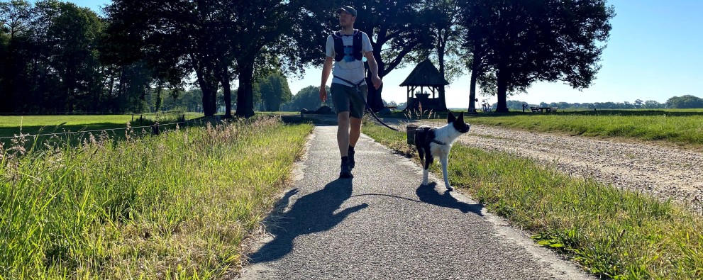 wandelen - kroezeboom - tubbergen - zomer.jpg wandelen - kroezeboom - tubbergen - zomer.jpg