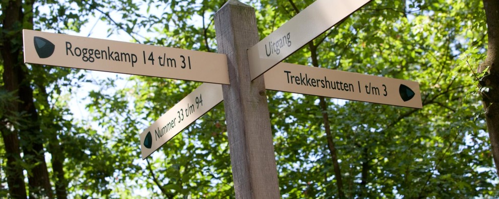 IMG_0552.jpg IMG_0552.jpg