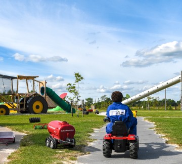 Drentse koe EyeFoMe-339.jpg