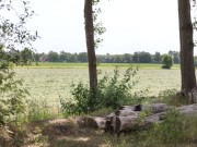 FFV_1092.jpg
